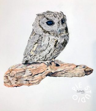 artwork044