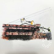 IMG_1466