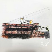 IMG_1466