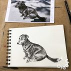 IMG_3612