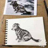 IMG_3612