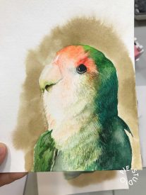IMG_4708