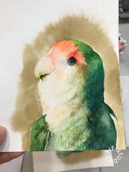 IMG_4708